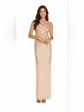 New With Tags Adrianna Papell Blush Embellished Sheath Evening Dress NEW